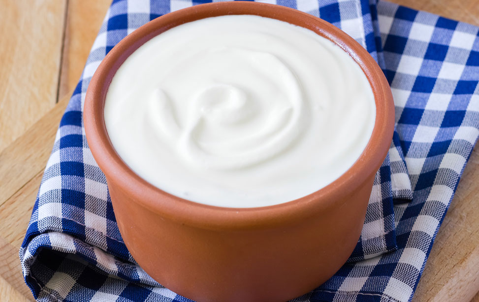 Schreiber Dynamix - yogurt